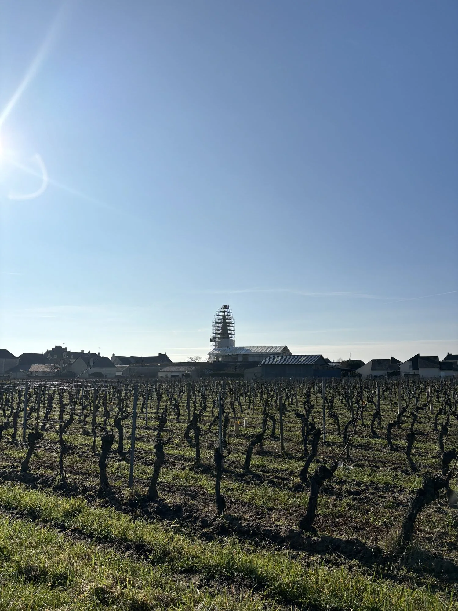 Église St Nicolas de Bourgueil — photo 6