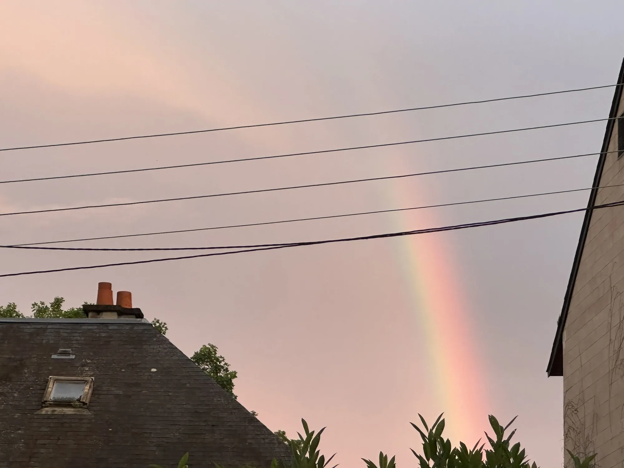 La maison qui voulait bien faire — photo 17
