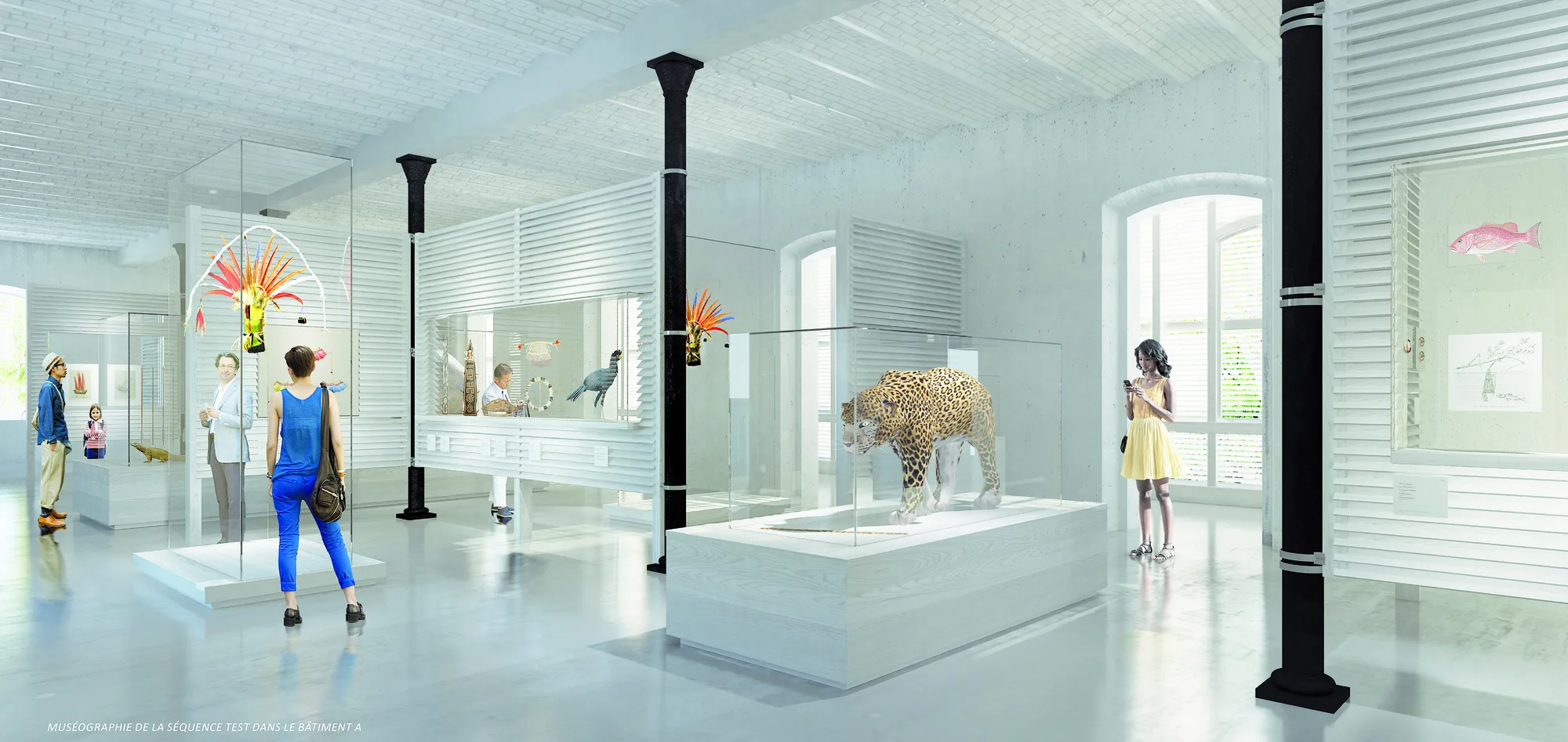 Maison des Cultures et des Mémoires de Guyane — photo 8